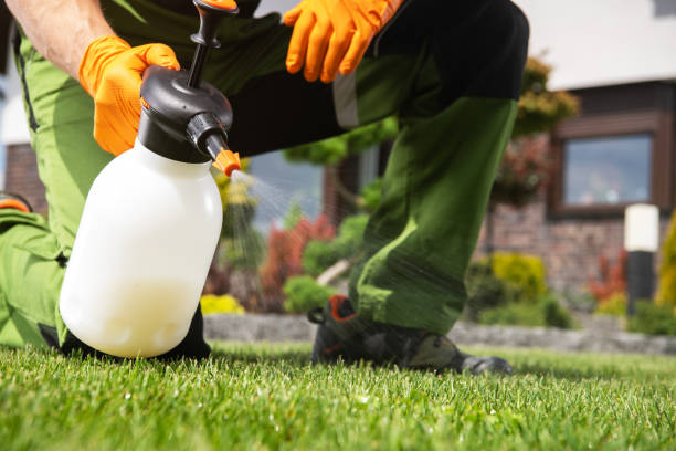 Best Seasonal Pest Control  in New Philadelphia, OH